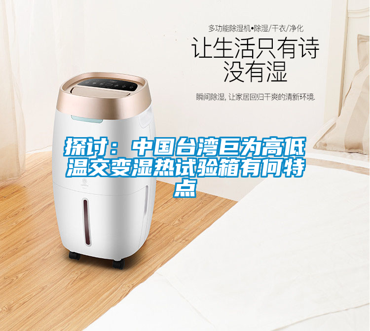 探讨：中国台湾巨为高低温交变湿热试验箱有何特点