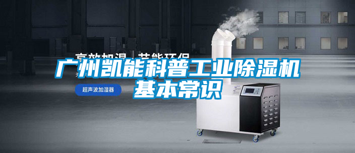 广州凯能科普工业茄子视频懂你更多在线观看基本常识