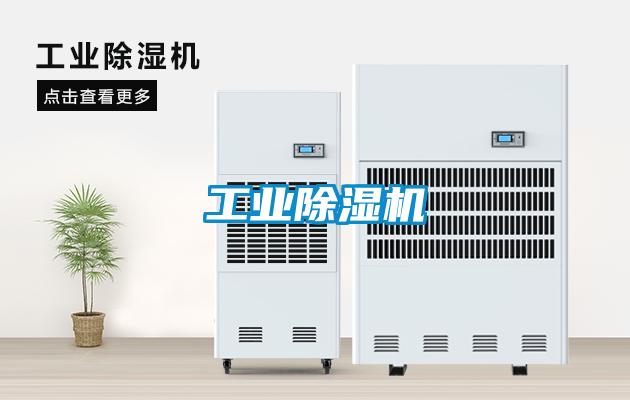 工业茄子视频懂你更多在线观看