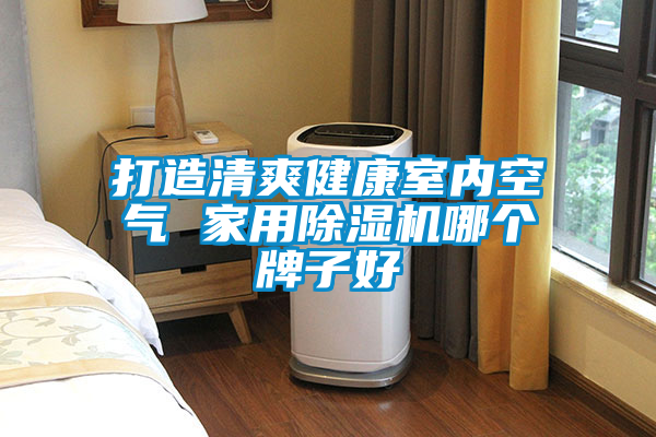 打造清爽健康室内空气 家用茄子视频懂你更多在线观看哪个牌子好