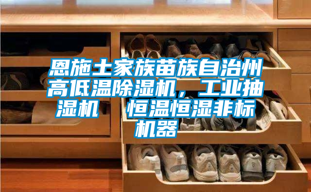 恩施土家族苗族自治州高低温茄子视频懂你更多在线观看，工业抽湿机  恒温恒湿非标机器