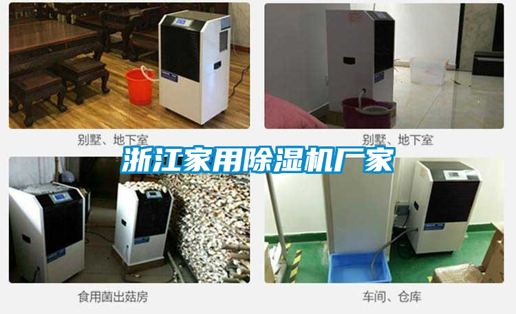 浙江家用茄子视频懂你更多在线观看厂家