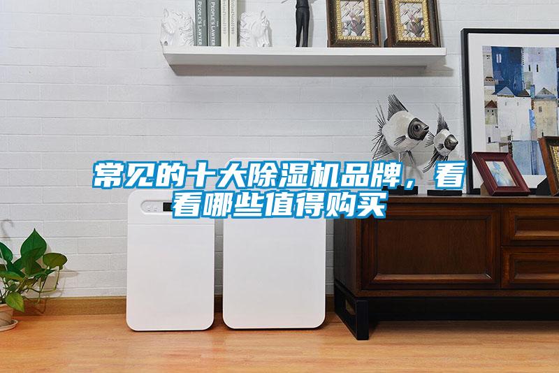 常见的十大茄子视频懂你更多在线观看品牌，看看哪些值得购买