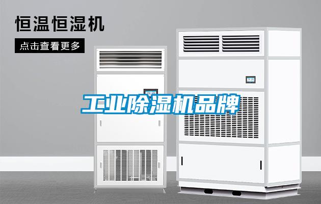工业茄子视频懂你更多在线观看品牌