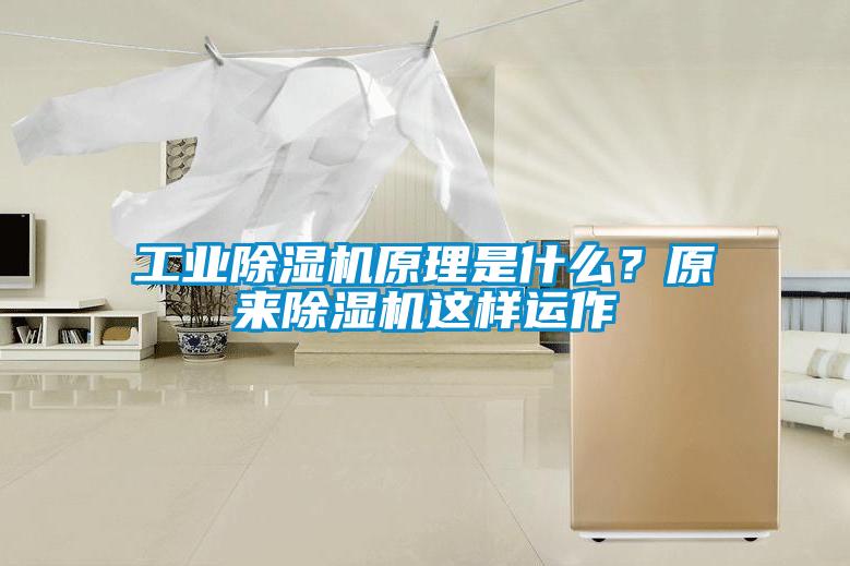 工业茄子视频懂你更多在线观看原理是什么？原来茄子视频懂你更多在线观看这样运作