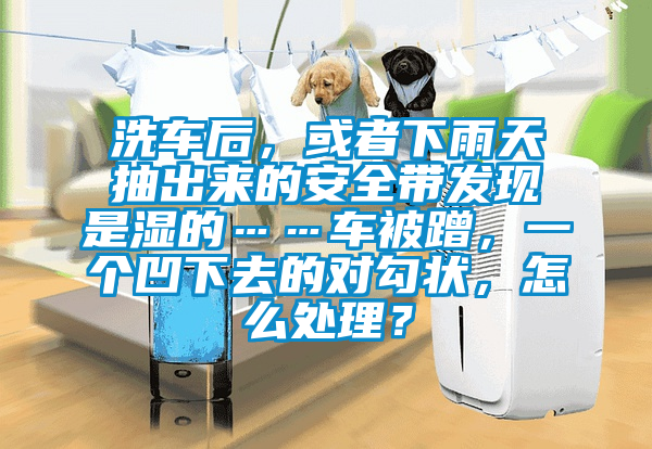 洗车后，或者下雨天抽出来的安全带发现是湿的……车被蹭，一个凹下去的对勾状，怎么处理？