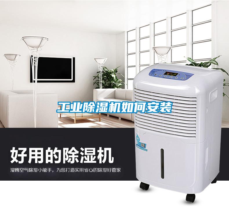 工业茄子视频懂你更多在线观看如何安装