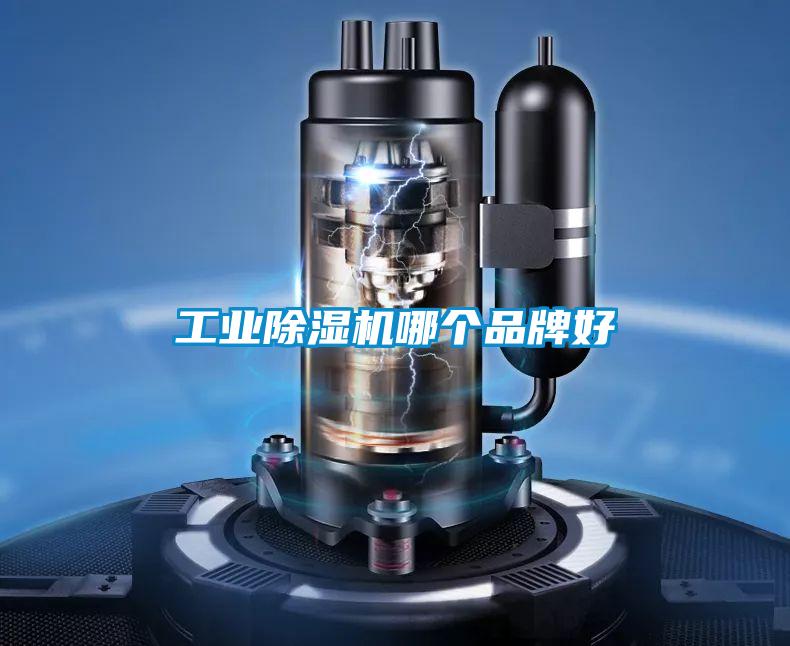 工业茄子视频懂你更多在线观看哪个品牌好