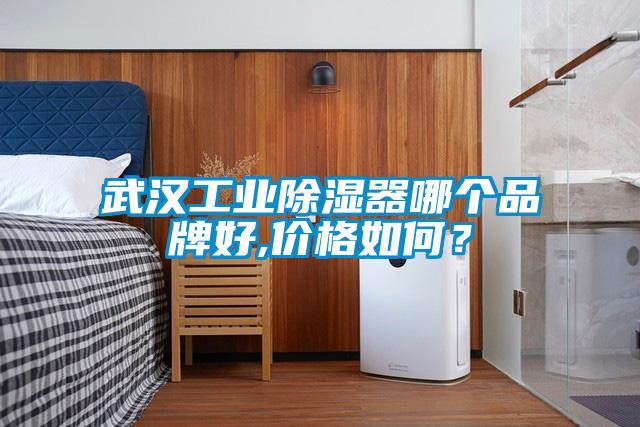 武汉工业除湿器哪个品牌好,价格如何？