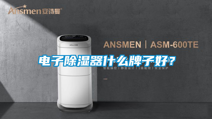 电子除湿器什么牌子好？