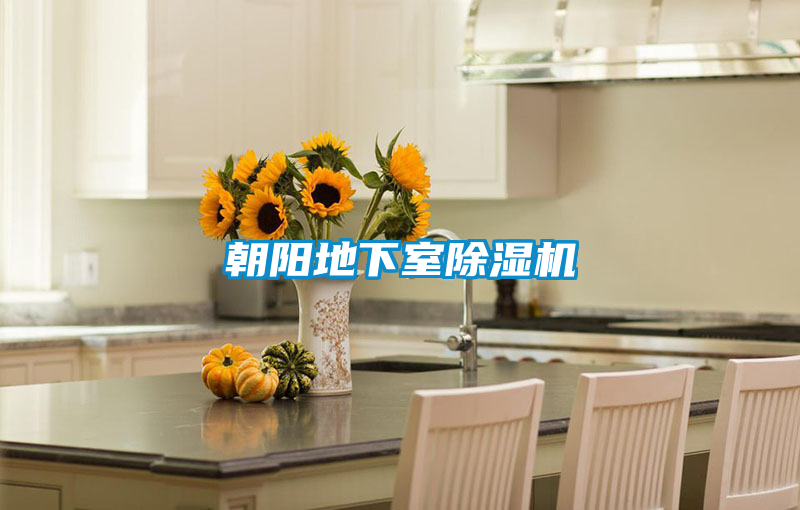 朝阳地下室茄子视频懂你更多在线观看