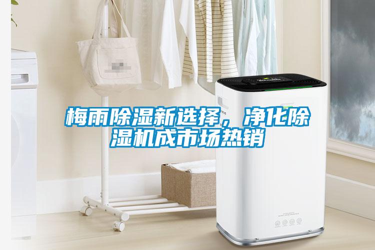 梅雨除湿新选择，净化茄子视频懂你更多在线观看成市场热销