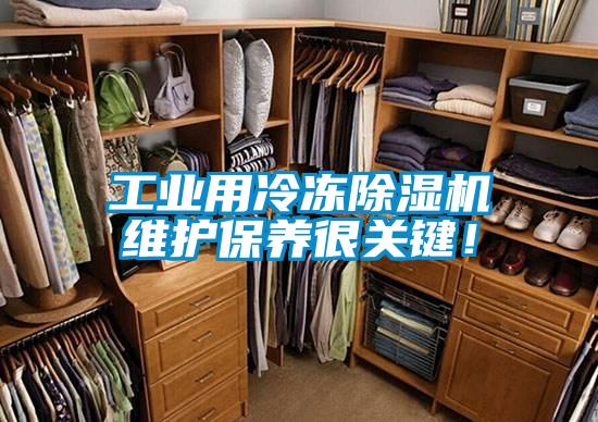 工业用冷冻茄子视频懂你更多在线观看维护保养很关键！
