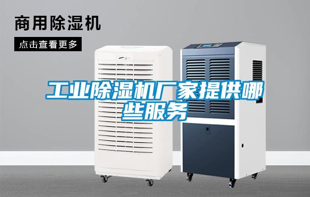 工业茄子视频懂你更多在线观看厂家提供哪些服务