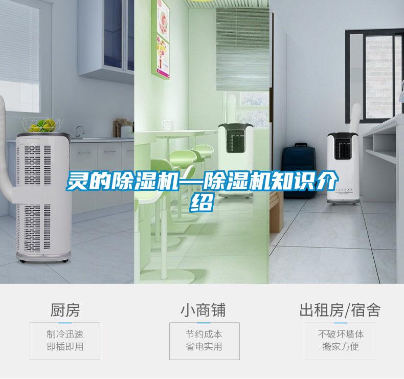 灵的茄子视频懂你更多在线观看—茄子视频懂你更多在线观看知识介绍
