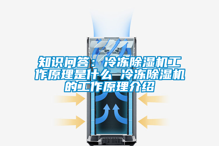 知识问答：冷冻茄子视频懂你更多在线观看工作原理是什么 冷冻茄子视频懂你更多在线观看的工作原理介绍
