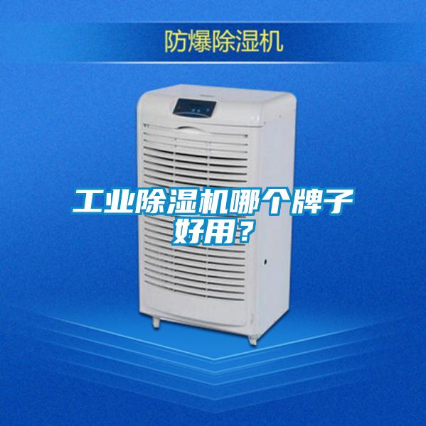 工业茄子视频懂你更多在线观看哪个牌子好用？