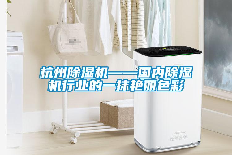 杭州茄子视频懂你更多在线观看——国内茄子视频懂你更多在线观看行业的一抹艳丽色彩