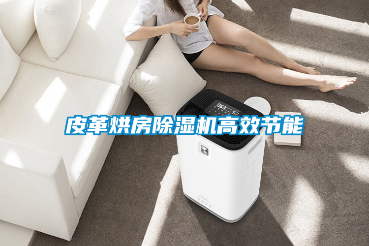 皮革烘房茄子视频懂你更多在线观看高效节能