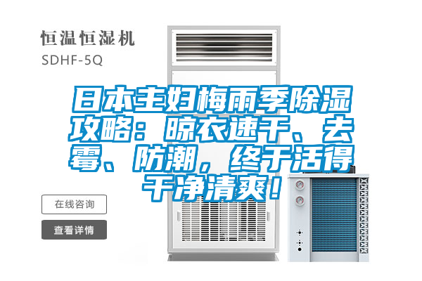日本主妇梅雨季除湿攻略：晾衣速干、去霉、防潮，终于活得干净清爽！