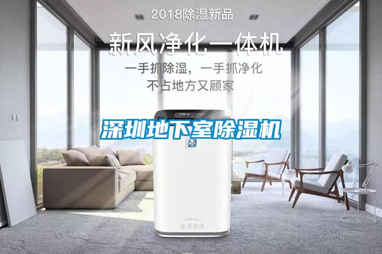 深圳地下室茄子视频懂你更多在线观看