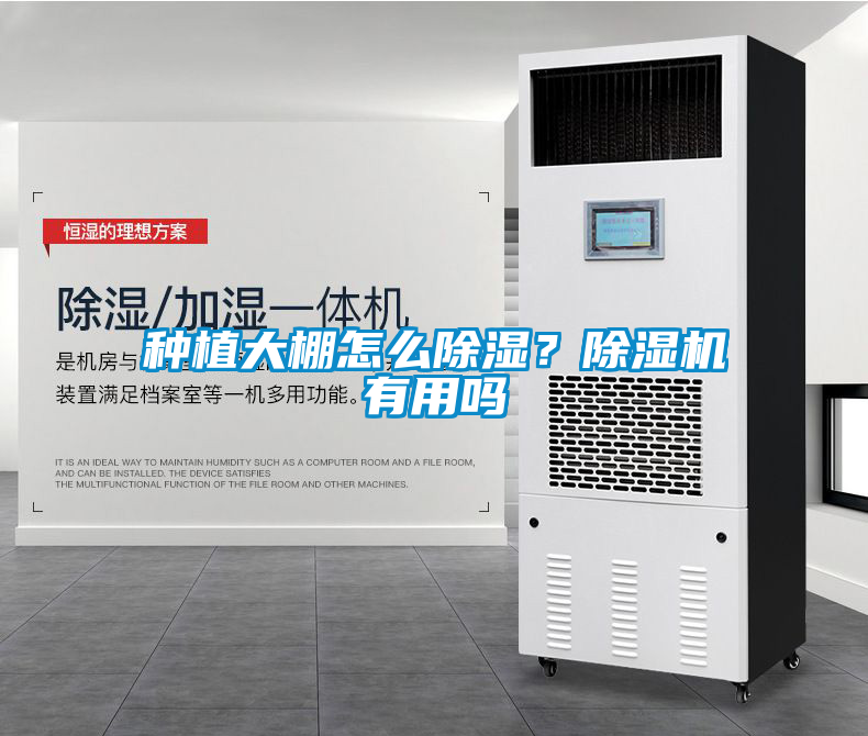 种植大棚怎么除湿？茄子视频懂你更多在线观看有用吗