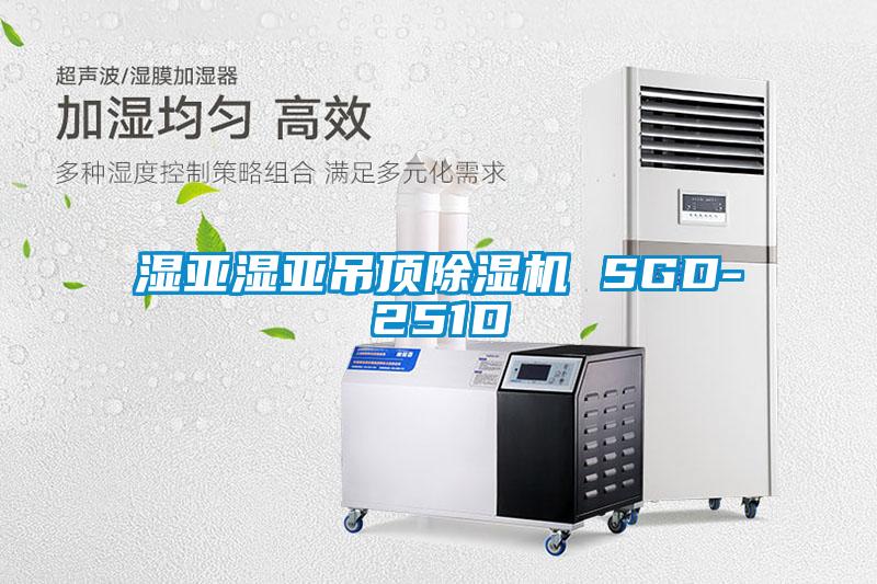 湿亚湿亚吊顶茄子视频懂你更多在线观看 SGD-251D