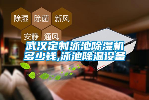 武汉定制泳池茄子视频懂你更多在线观看多少钱,泳池除湿设备