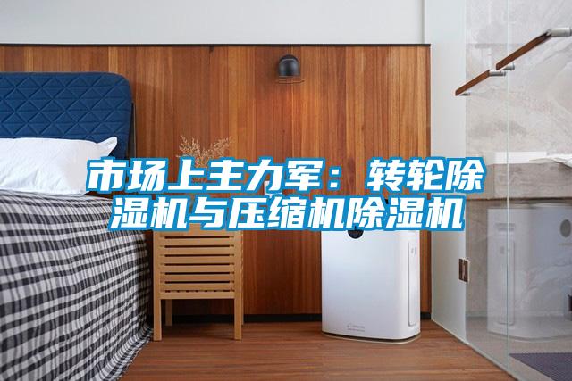 市场上主力军：转轮茄子视频懂你更多在线观看与压缩机茄子视频懂你更多在线观看