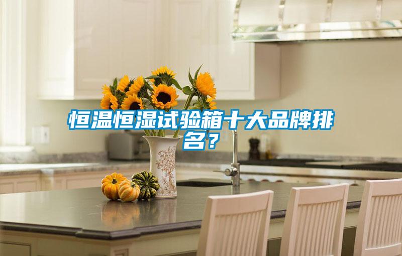 恒温恒湿试验箱十大品牌排名？