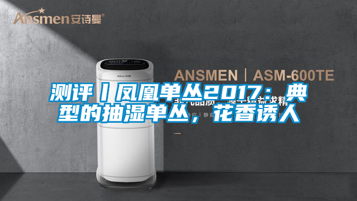 测评丨凤凰单丛2017：典型的抽湿单丛，花香诱人