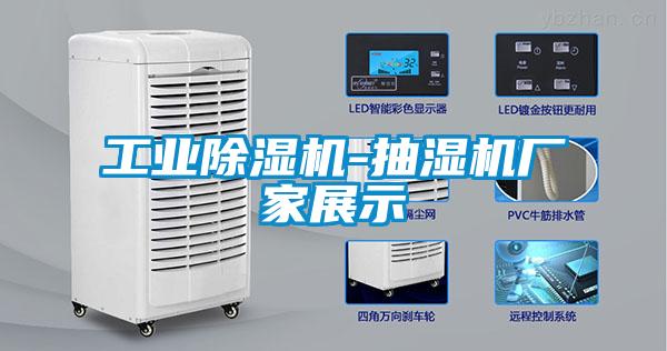 工业茄子视频懂你更多在线观看-抽湿机厂家展示