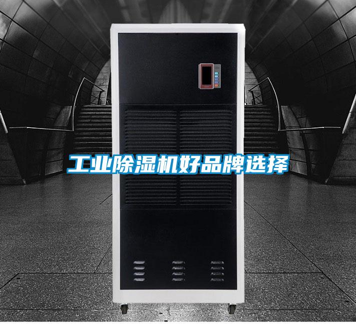 工业茄子视频懂你更多在线观看好品牌选择