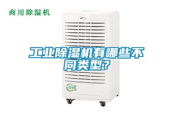 工业茄子视频懂你更多在线观看有哪些不同类型？