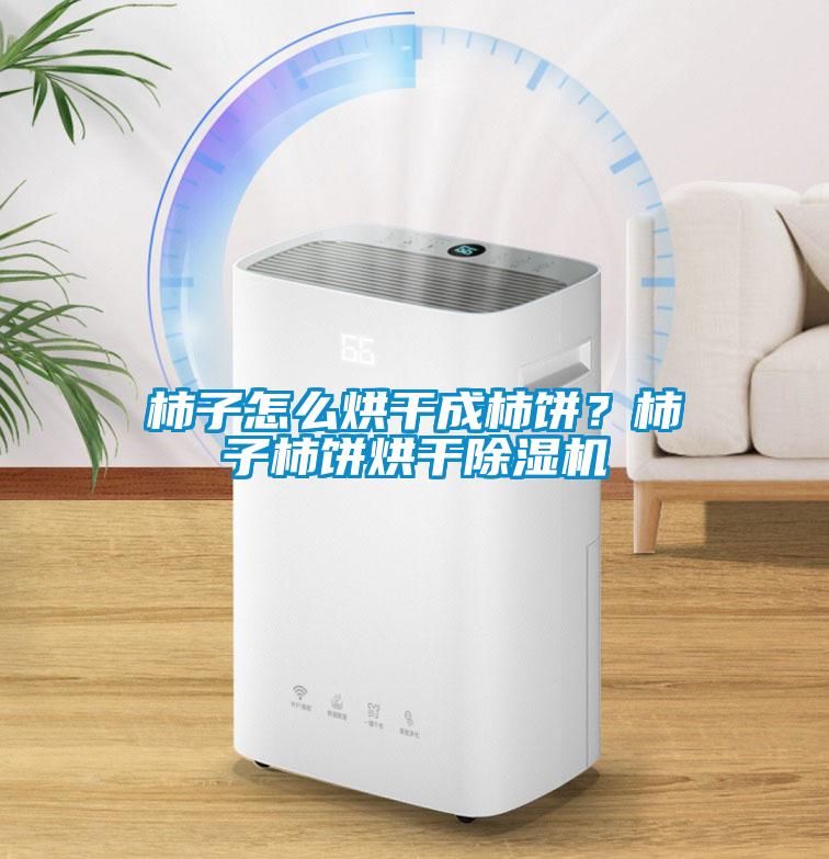 柿子怎么烘干成柿饼？柿子柿饼烘干茄子视频懂你更多在线观看