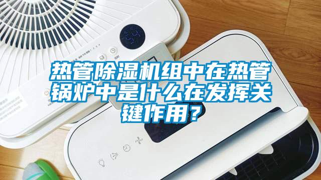 热管茄子视频懂你更多在线观看组中在热管锅炉中是什么在发挥关键作用？