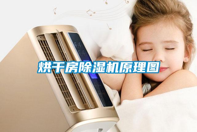 烘干房茄子视频懂你更多在线观看原理图