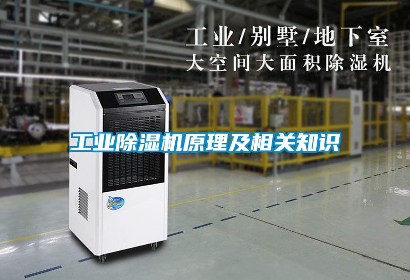 工业茄子视频懂你更多在线观看原理及相关知识