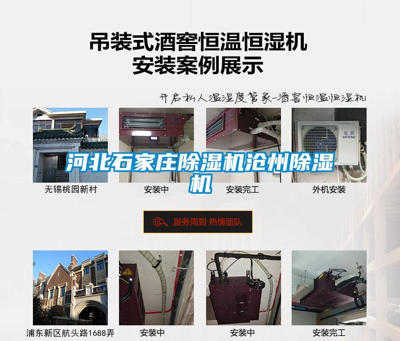 河北石家庄茄子视频懂你更多在线观看沧州茄子视频懂你更多在线观看