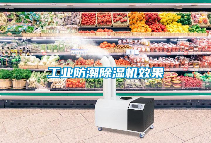 工业防潮茄子视频懂你更多在线观看效果