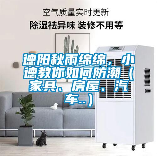 德阳秋雨绵绵，小德教你如何防潮（家具、房屋、汽车..）