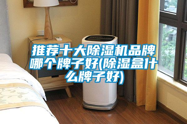 推荐十大茄子视频懂你更多在线观看品牌哪个牌子好(除湿盒什么牌子好)