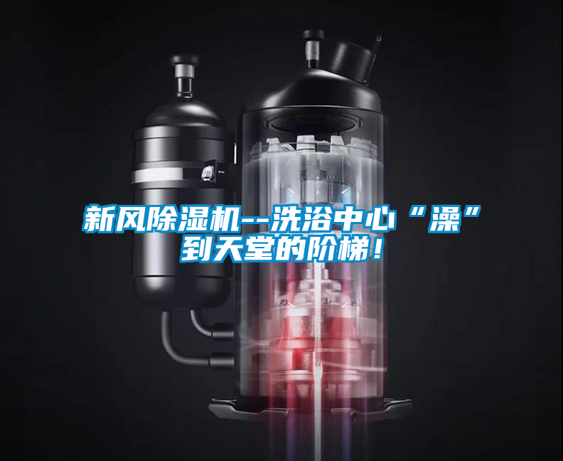 新风茄子视频懂你更多在线观看--洗浴中心“澡”到天堂的阶梯！