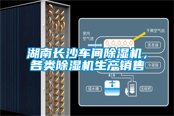 湖南长沙车间茄子视频懂你更多在线观看，各类茄子视频懂你更多在线观看生产销售