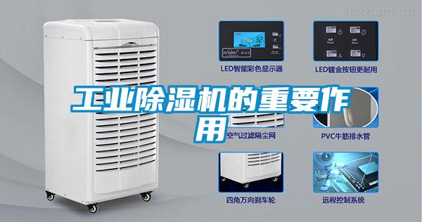 工业茄子视频懂你更多在线观看的重要作用