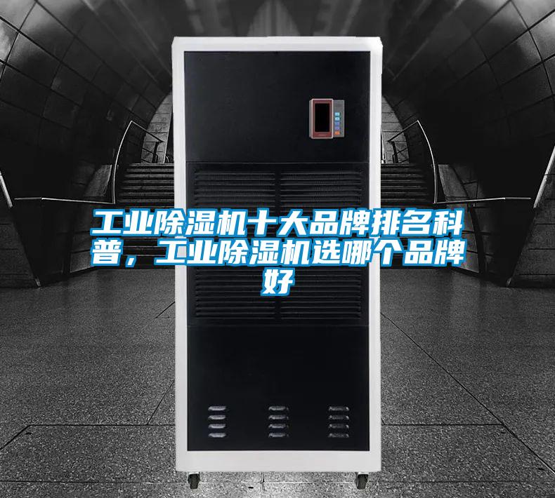 工业茄子视频懂你更多在线观看十大品牌排名科普，工业茄子视频懂你更多在线观看选哪个品牌好