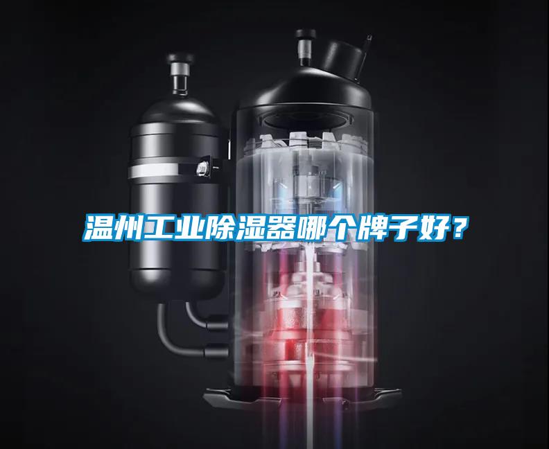 温州工业除湿器哪个牌子好？