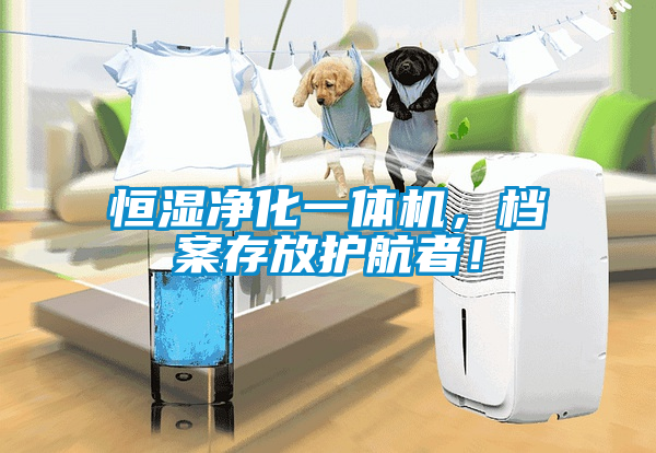 恒湿净化一体机，档案存放护航者！