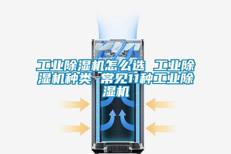 工业茄子视频懂你更多在线观看怎么选 工业茄子视频懂你更多在线观看种类 常见11种工业茄子视频懂你更多在线观看