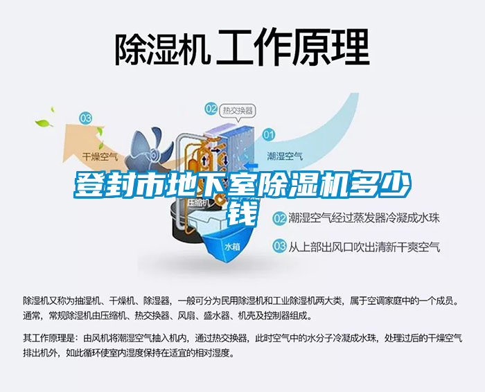 登封市地下室茄子视频懂你更多在线观看多少钱